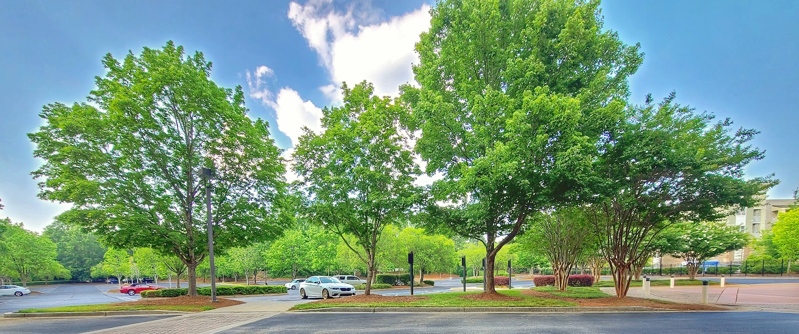 The Mansions at Alpharetta Assisted Living and Memory Care