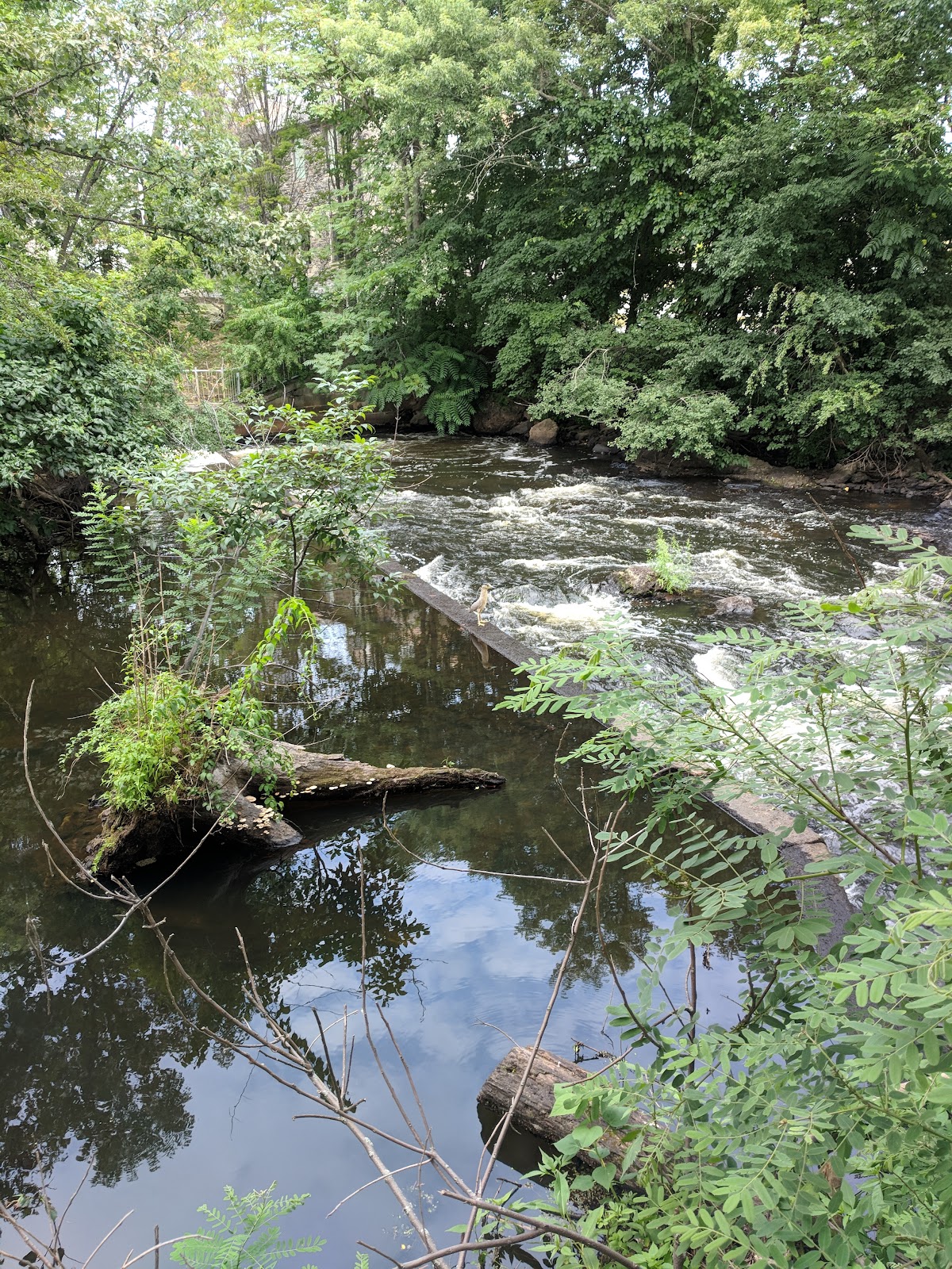 The Falls at Cordingly Dam