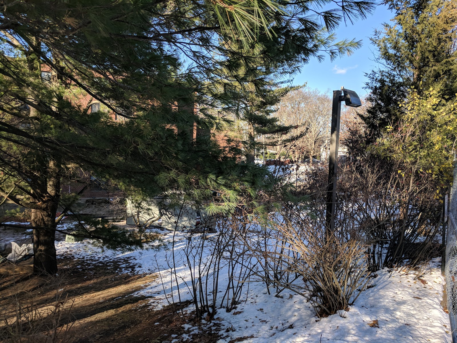 Golda Meir House: A 2Life Community