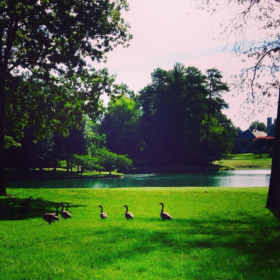 The Lakes of Paducah
