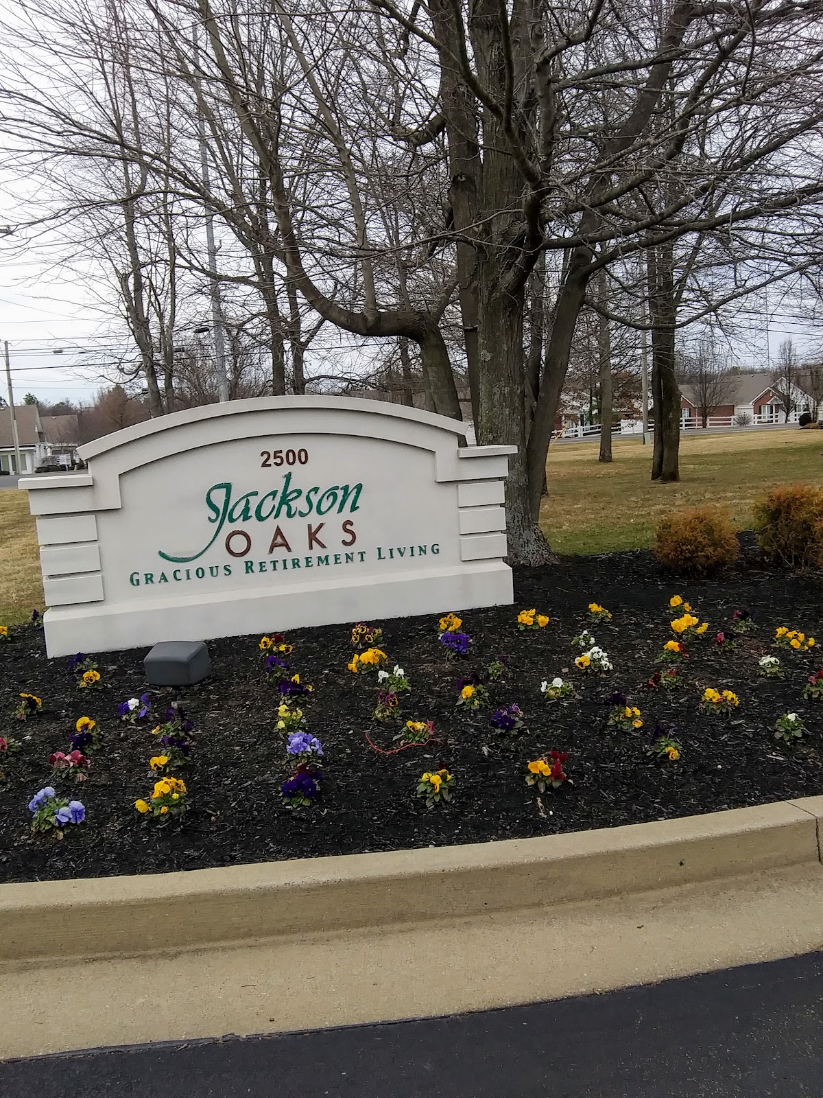 Holiday Lone Oak