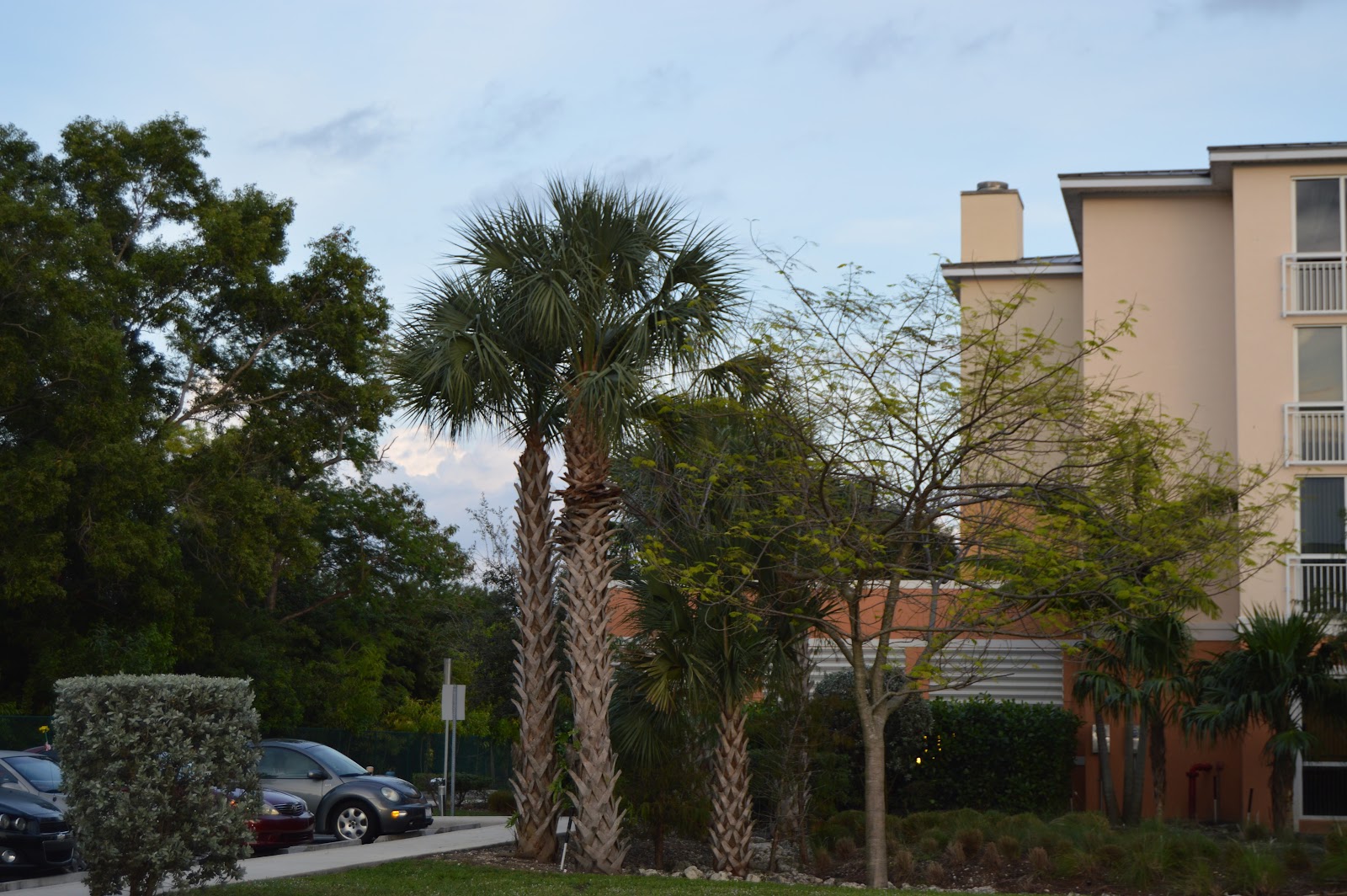 Douglas Gardens North