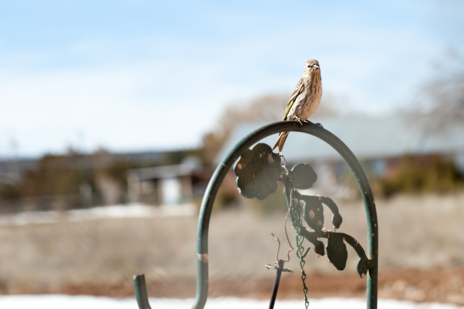 BeeHive Homes Assisted Living