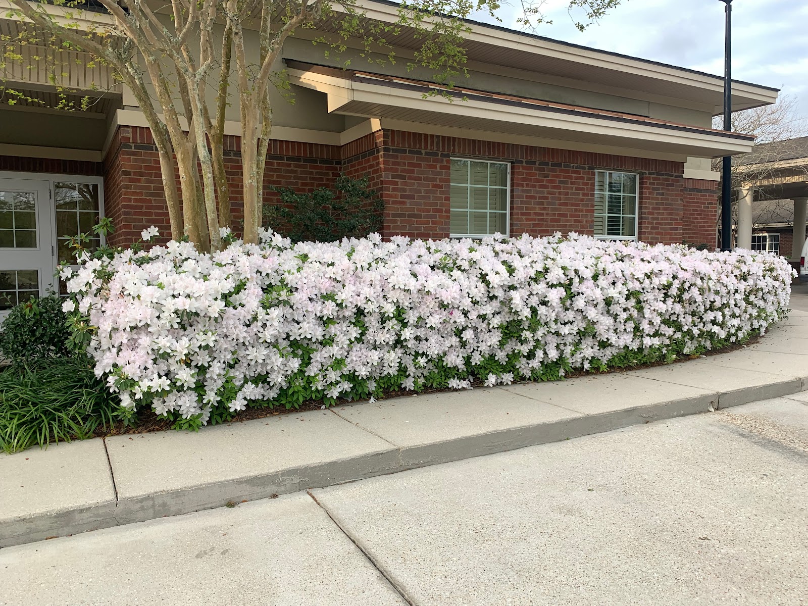 Ascension Oaks Nursing And Rehabilitation Center, LLC
