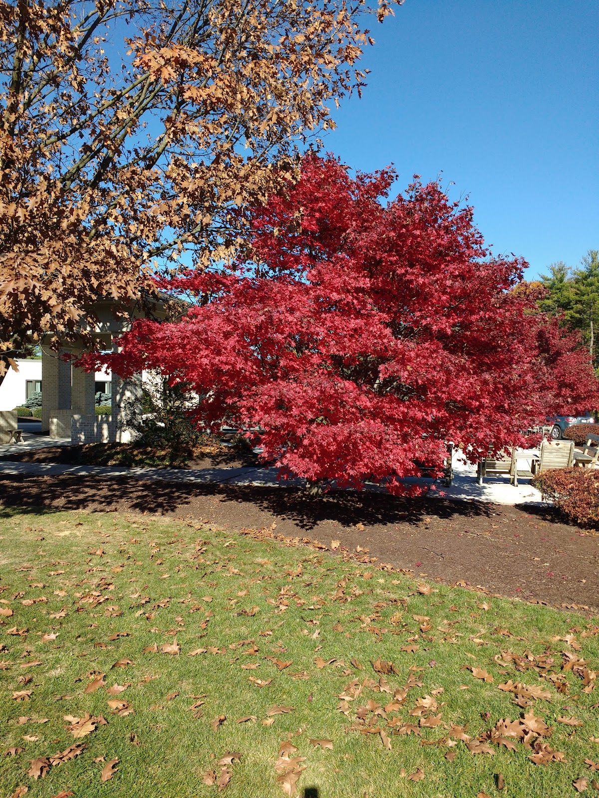 Green Ridge Village