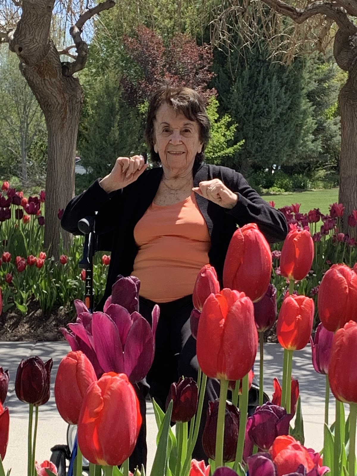 Bel Aire Senior Living