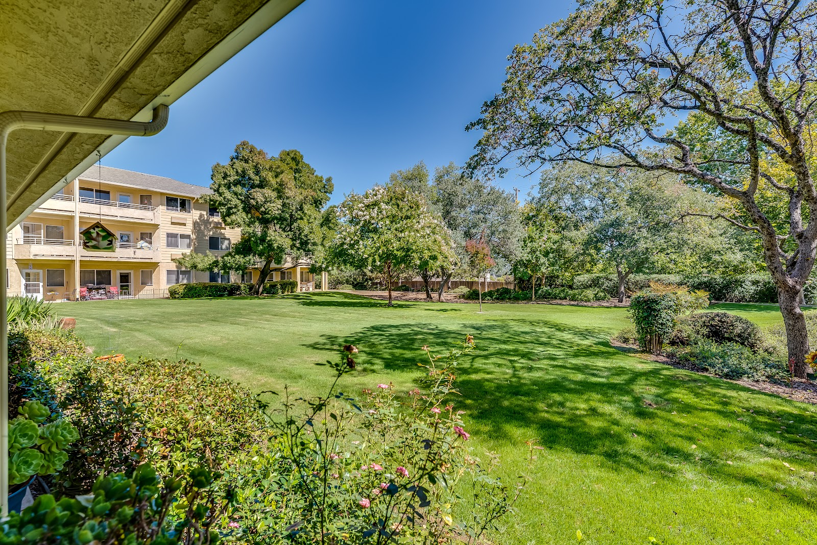 Solstice Senior Living at Auburn