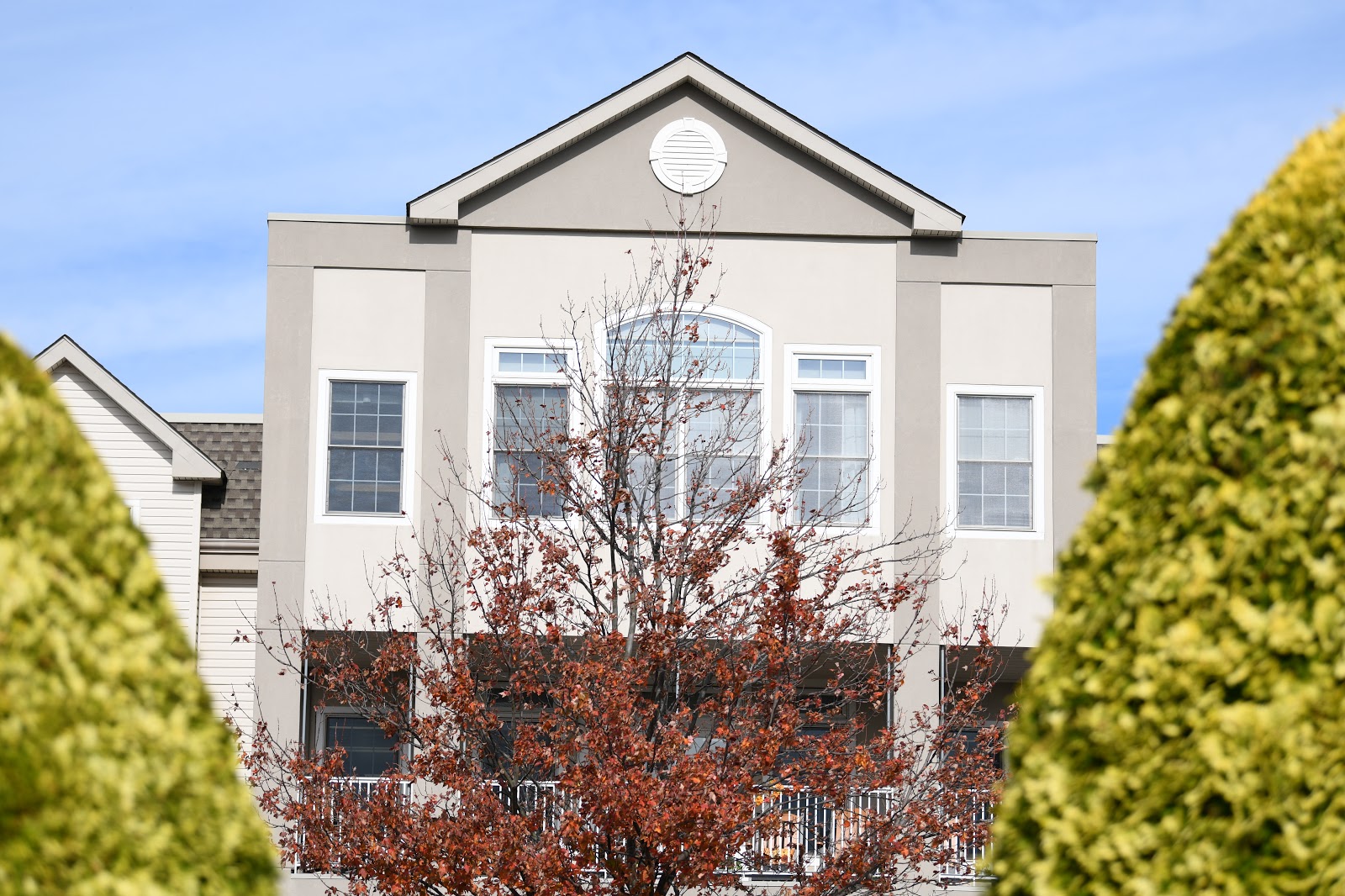The Willow