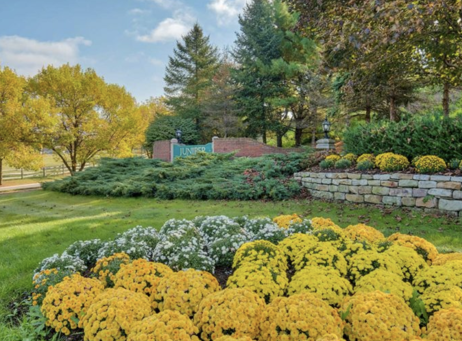 Juniper Village at Brookline, Rehabilitation & Skilled Care