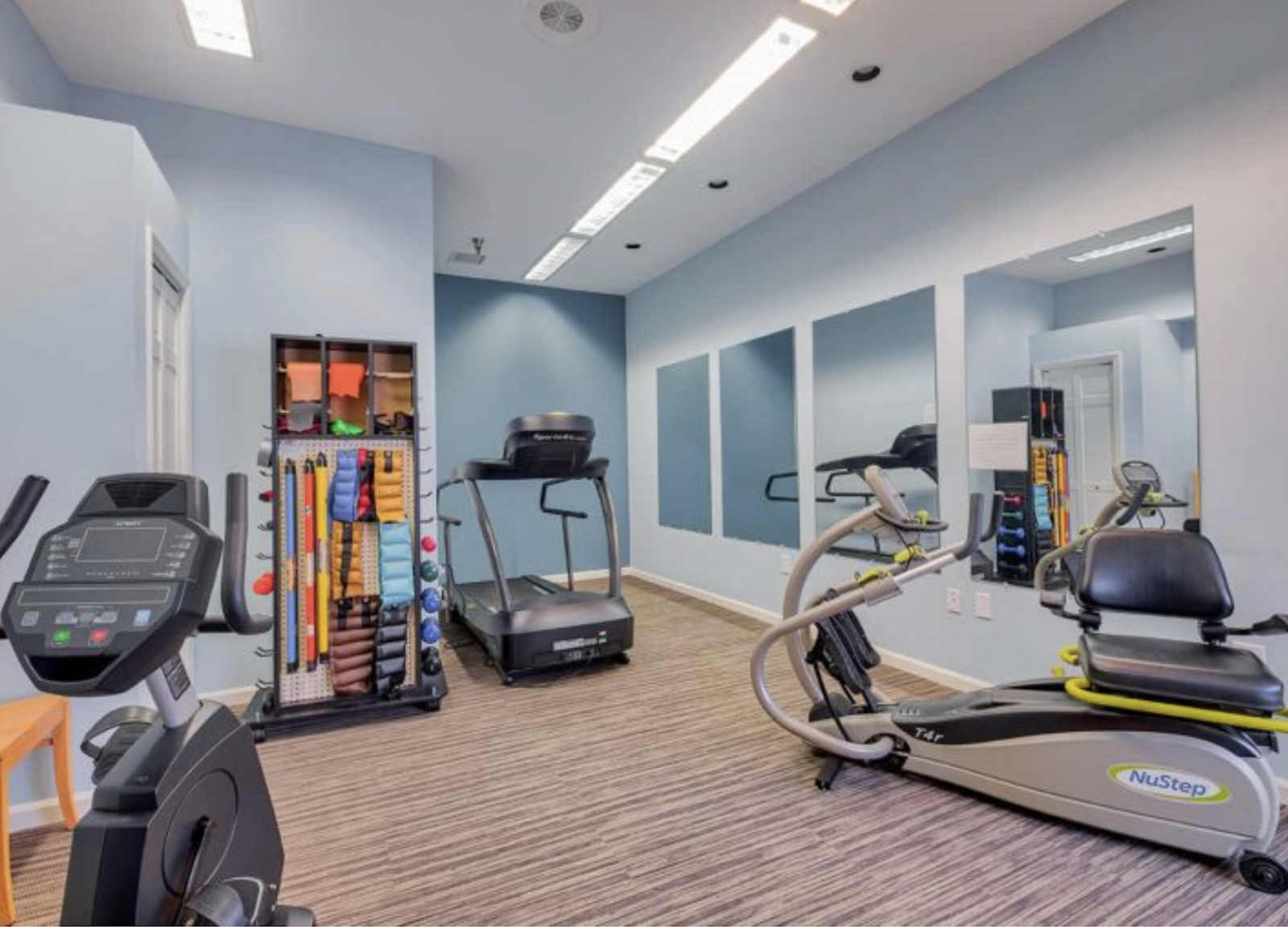 Juniper Village at Brookline, Rehabilitation & Skilled Care