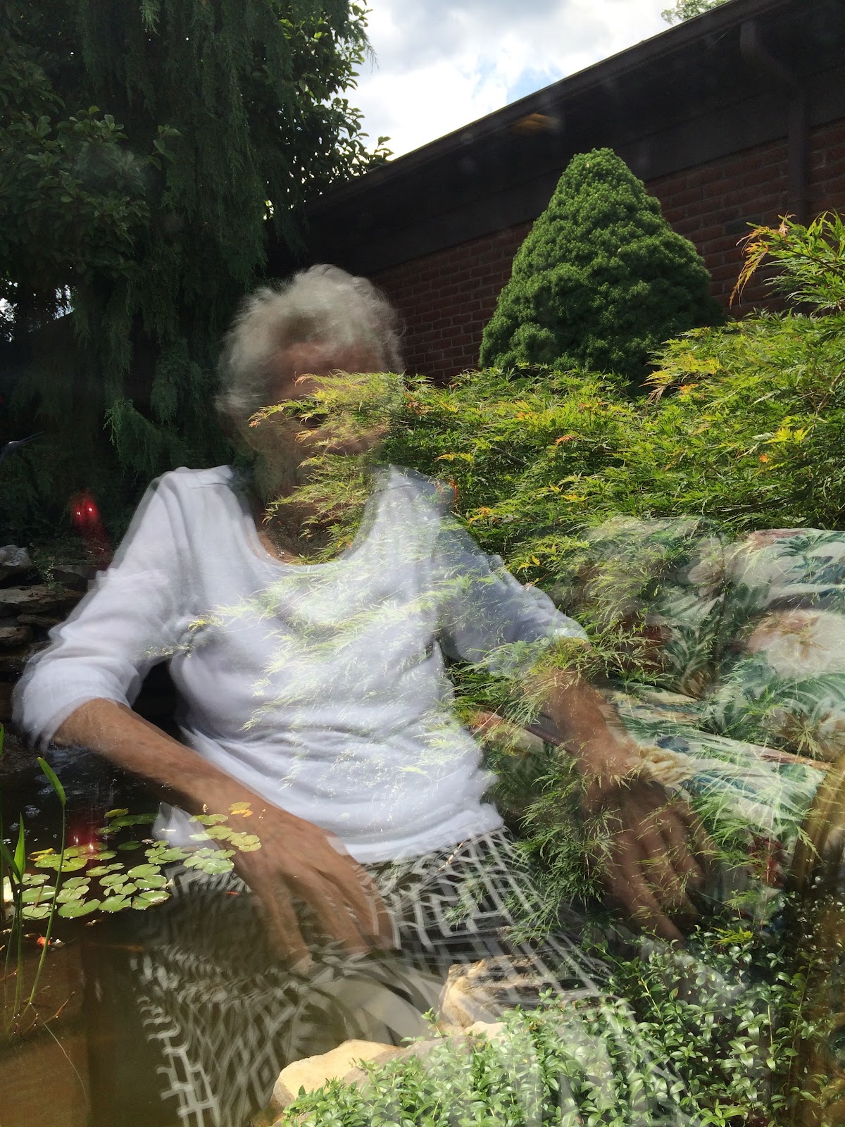 Juniper Village at Brookline, Rehabilitation & Skilled Care