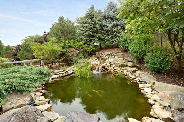 Juniper Village at Brookline, Rehabilitation & Skilled Care
