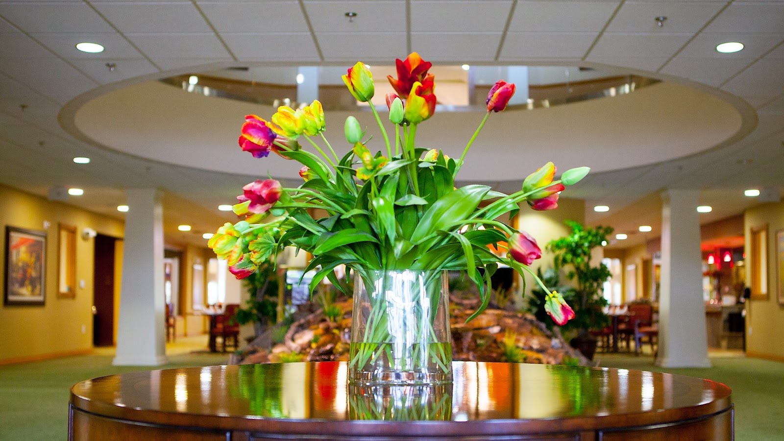 Provident Crossings Retirement Resort