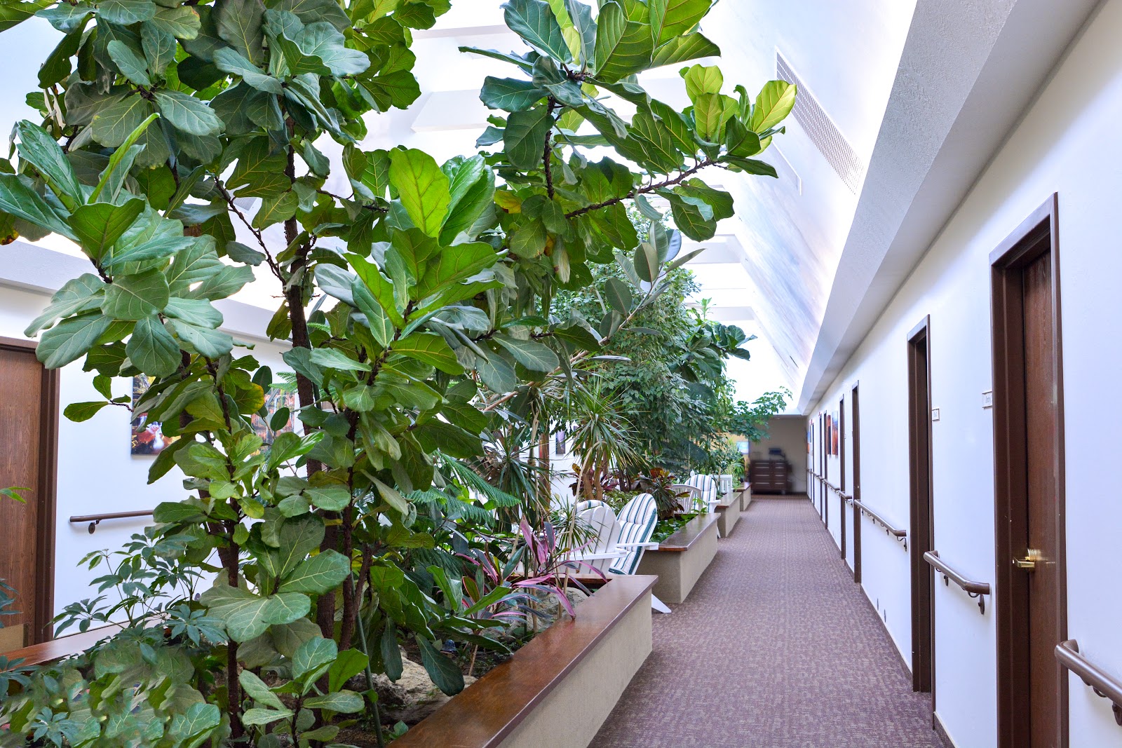 Apple Tree Assisted Living