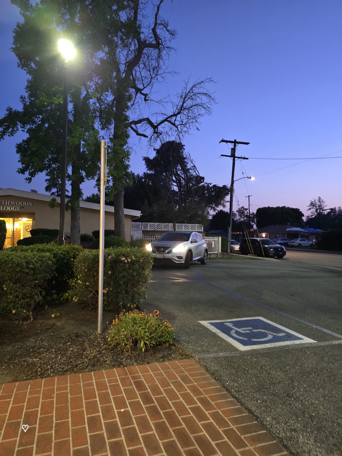 Woods Health Services