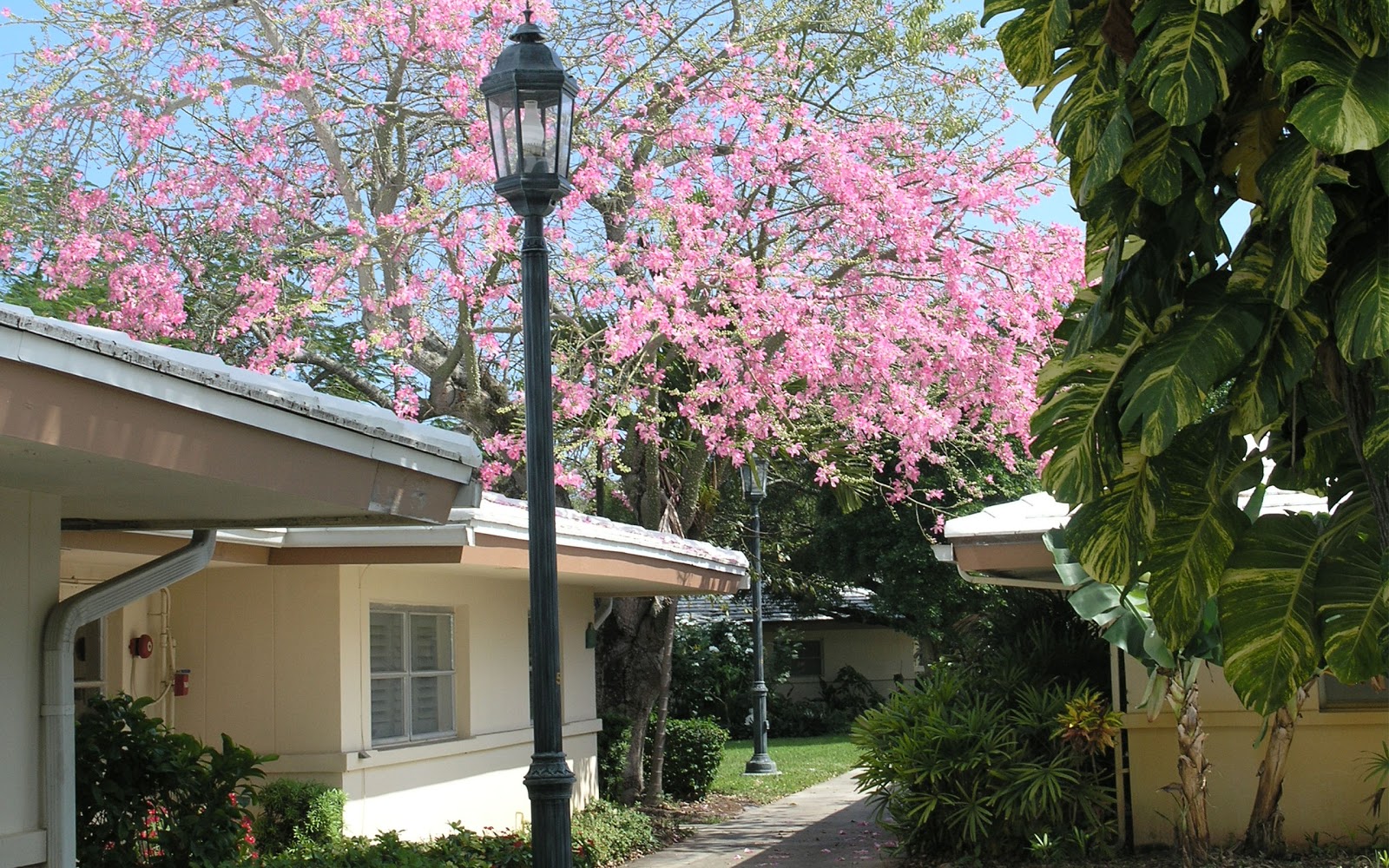 John Knox Village