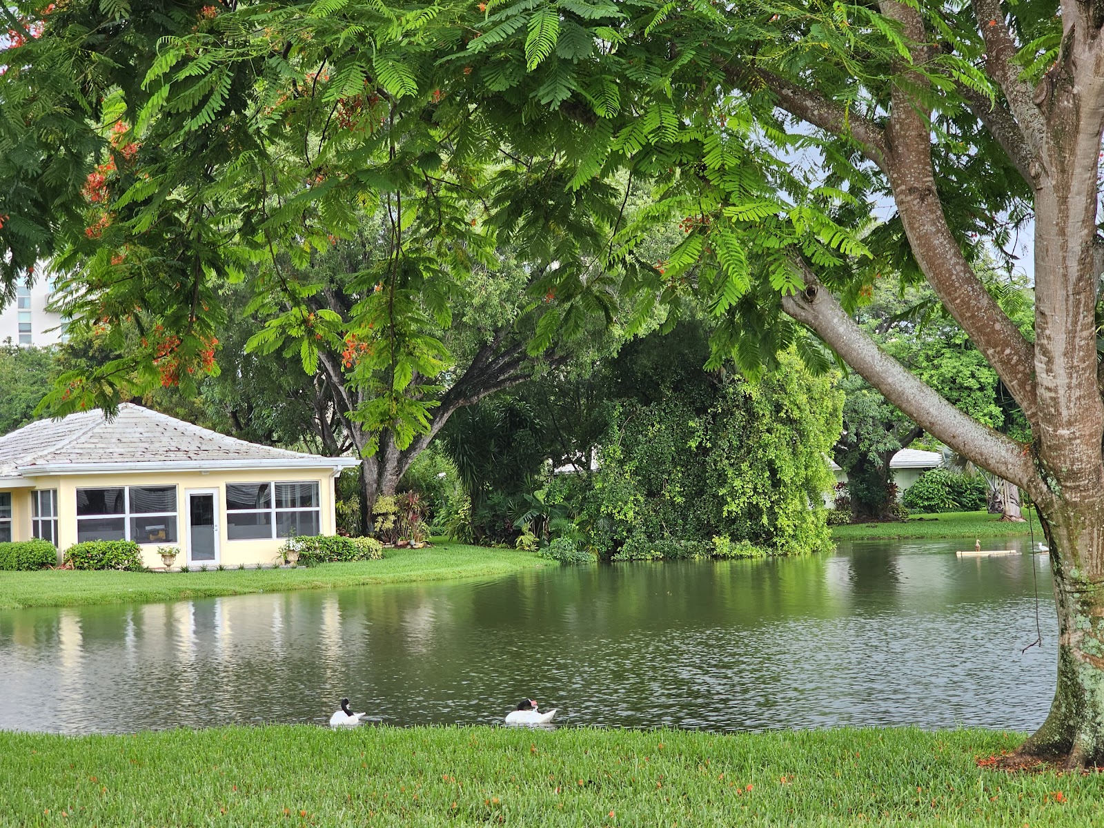The Woodlands at John Knox Village