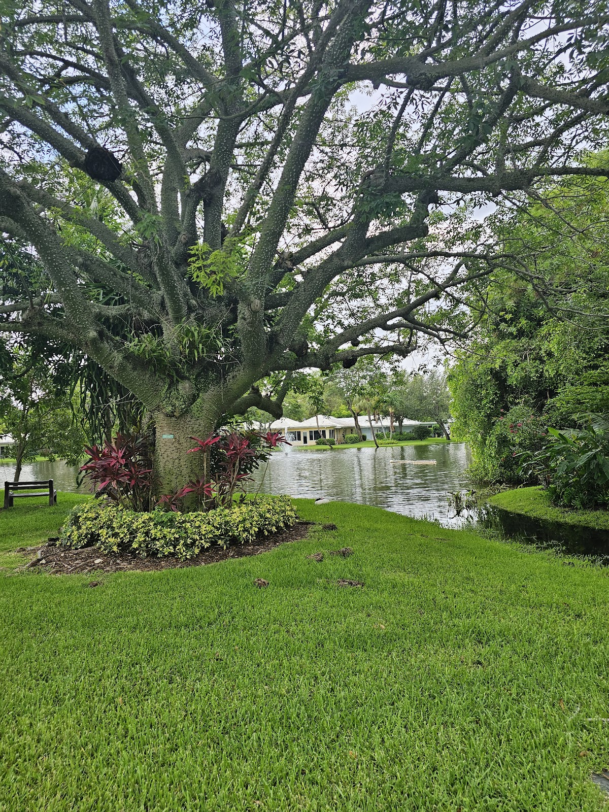 The Woodlands at John Knox Village
