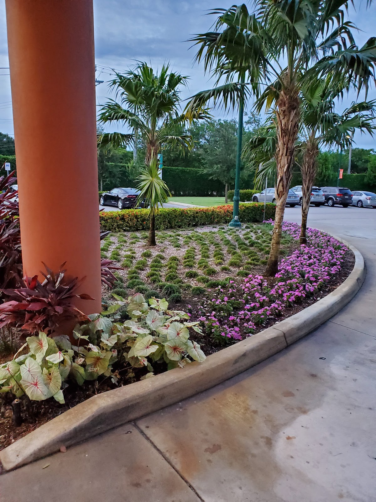 The Woodlands at John Knox Village