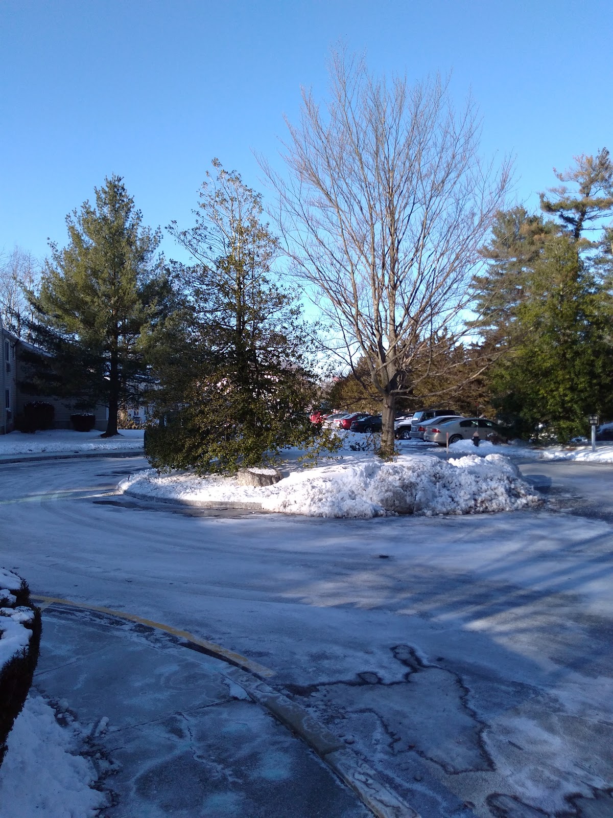Winter Valley Residences Inc