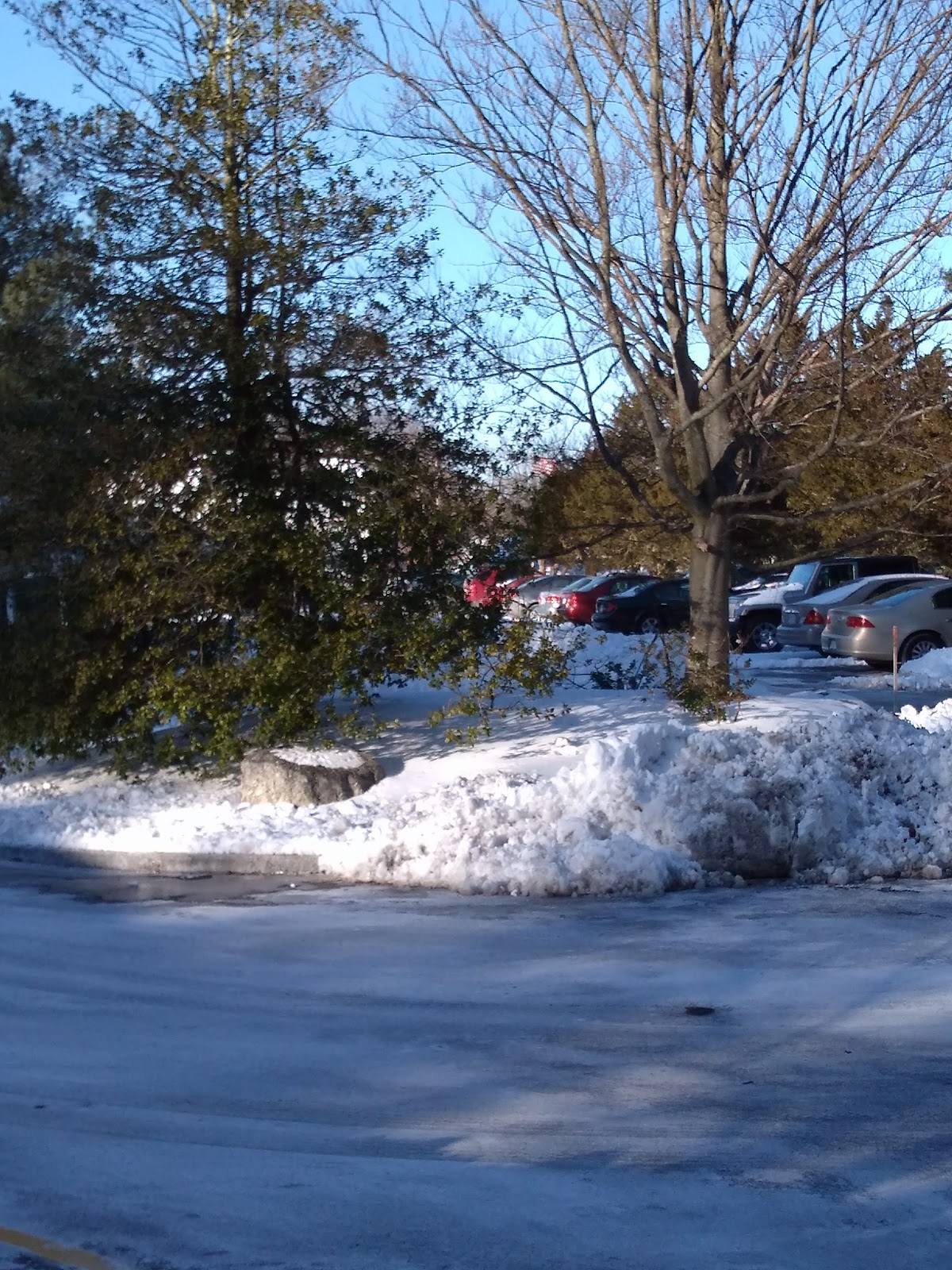 Winter Valley Residences Inc