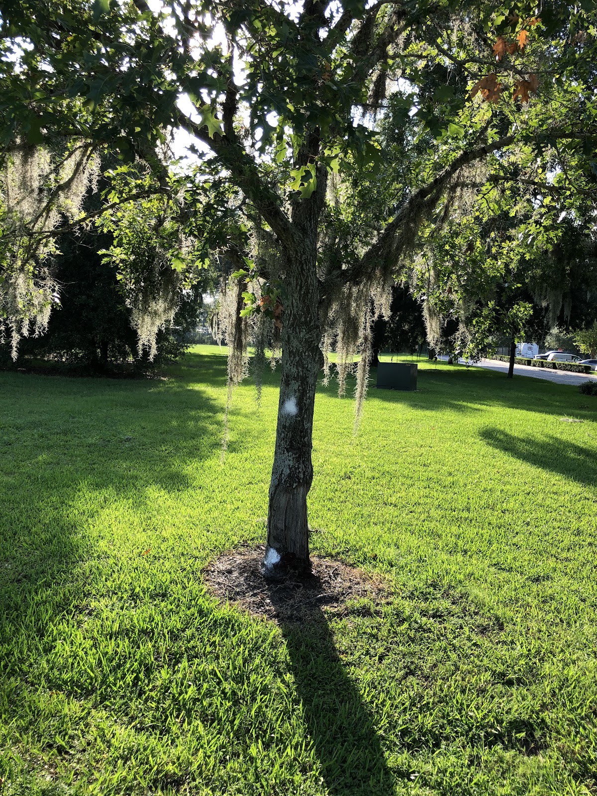 Arbor Oaks at Lakeland Hills