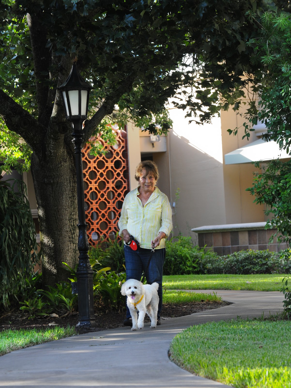 Westminster Bradenton - The Manor Neighborhood