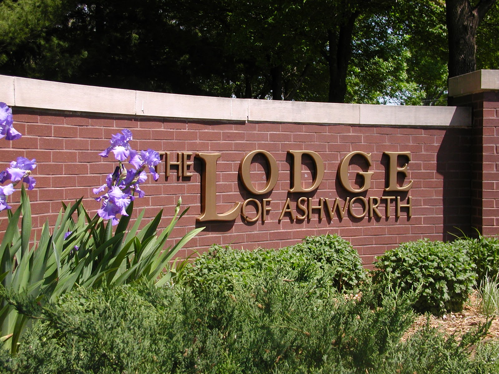 Elite Lodge of Ashworth