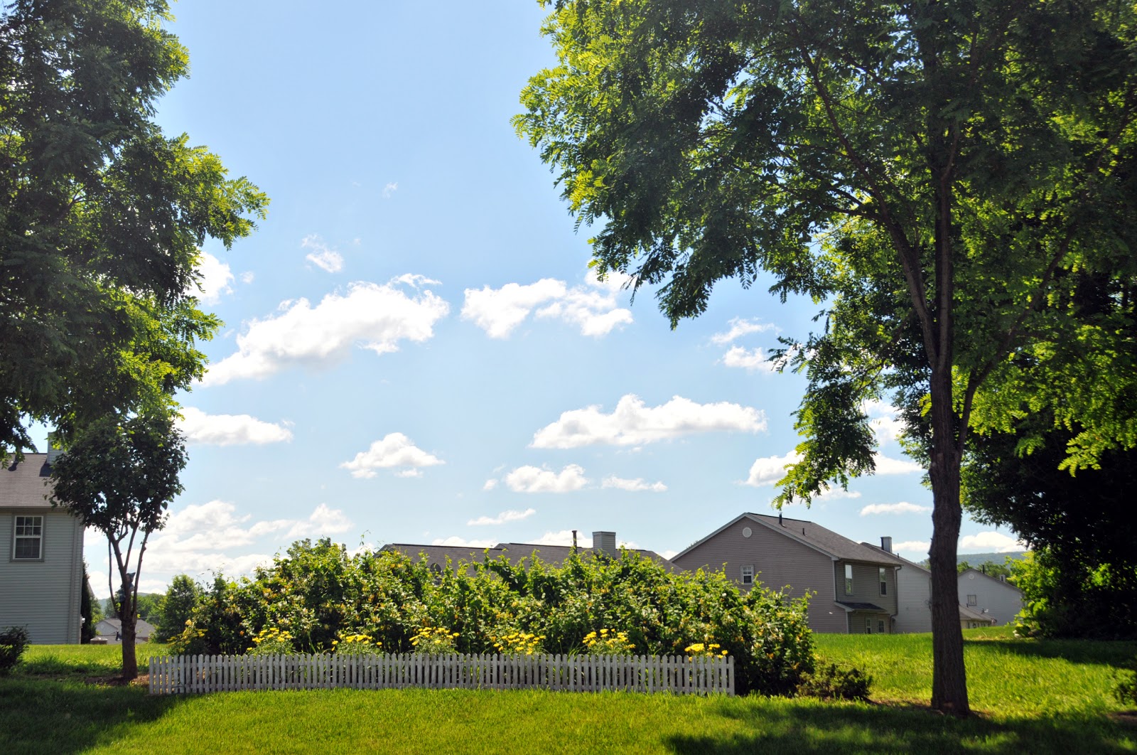 Cottages of Shippensburg