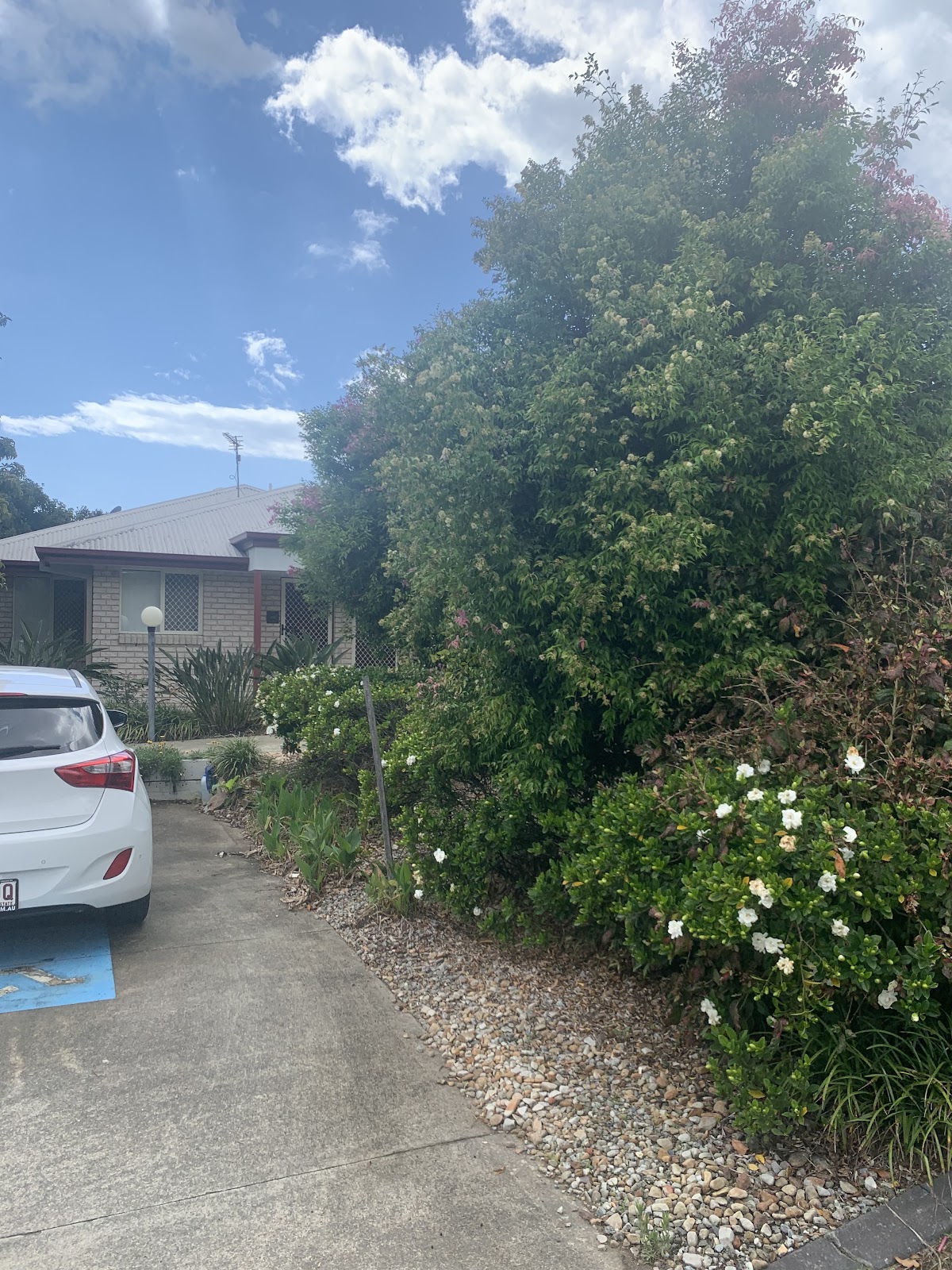 Bougainvillea Lodge