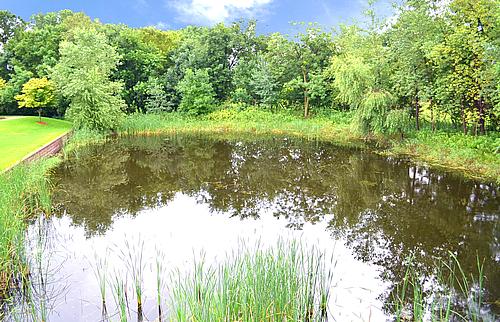 Realife Cooperative of Mounds View