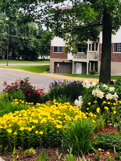 Realife Cooperative of Mounds View
