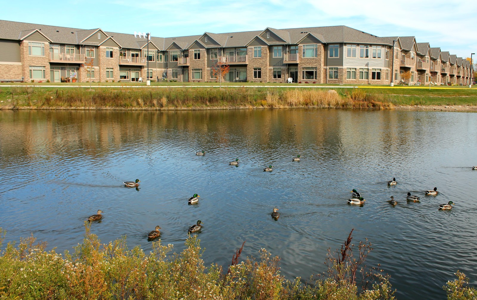 Country Manor Campus