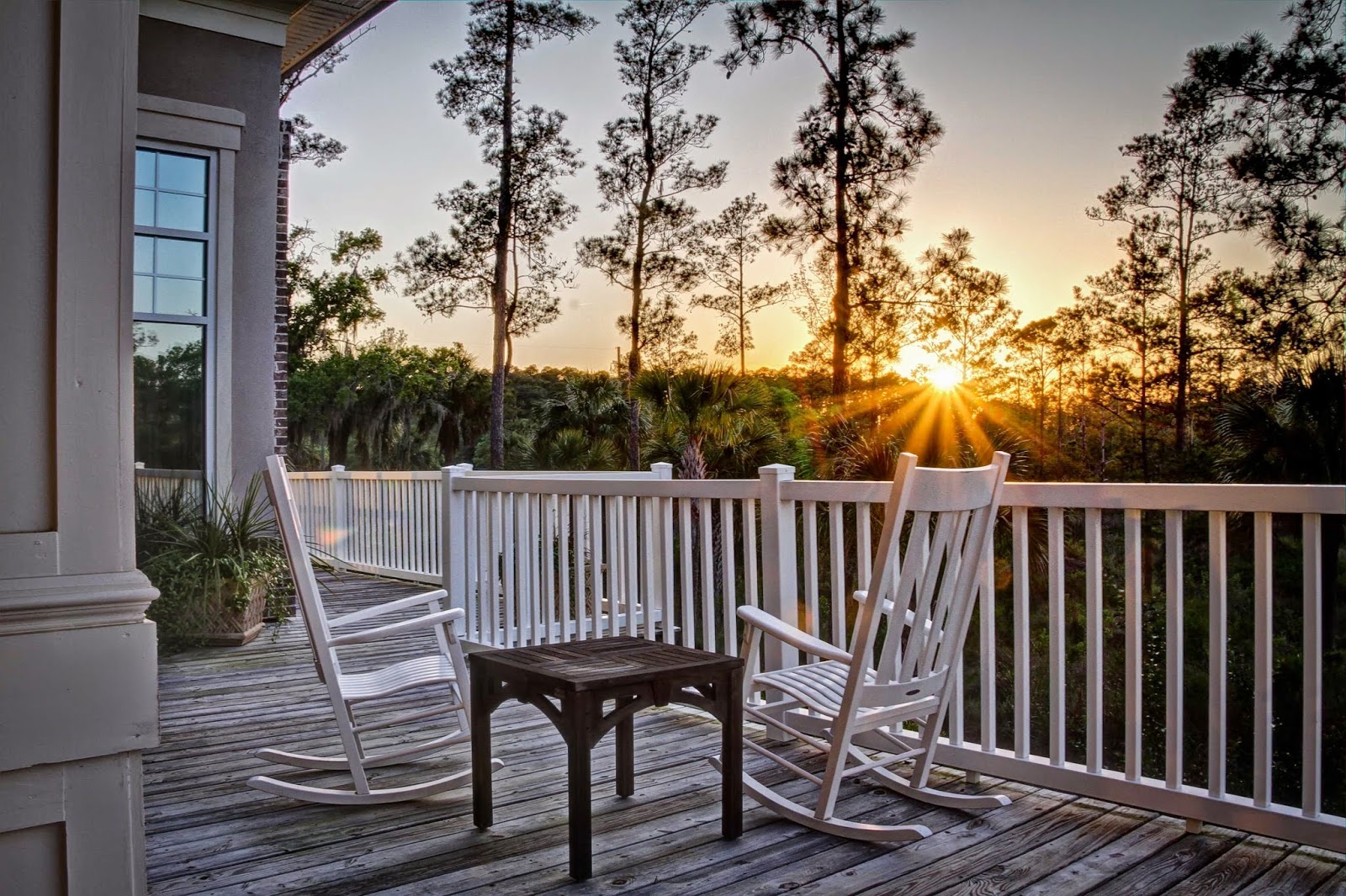 Marshes of Skidaway Island