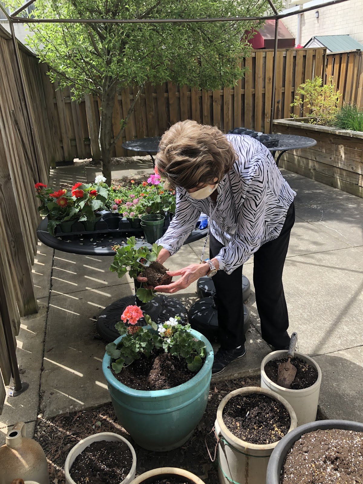 The Villas at King David