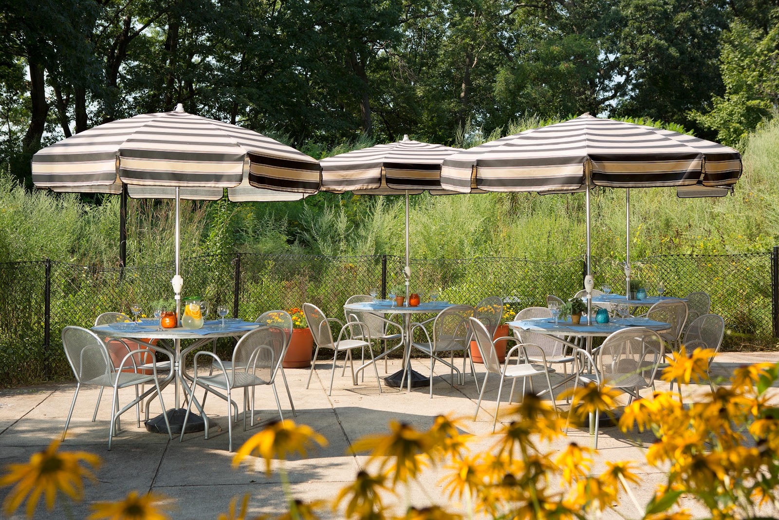 Neville Place at Fresh Pond, Assisted Living & Compass Memory Support
