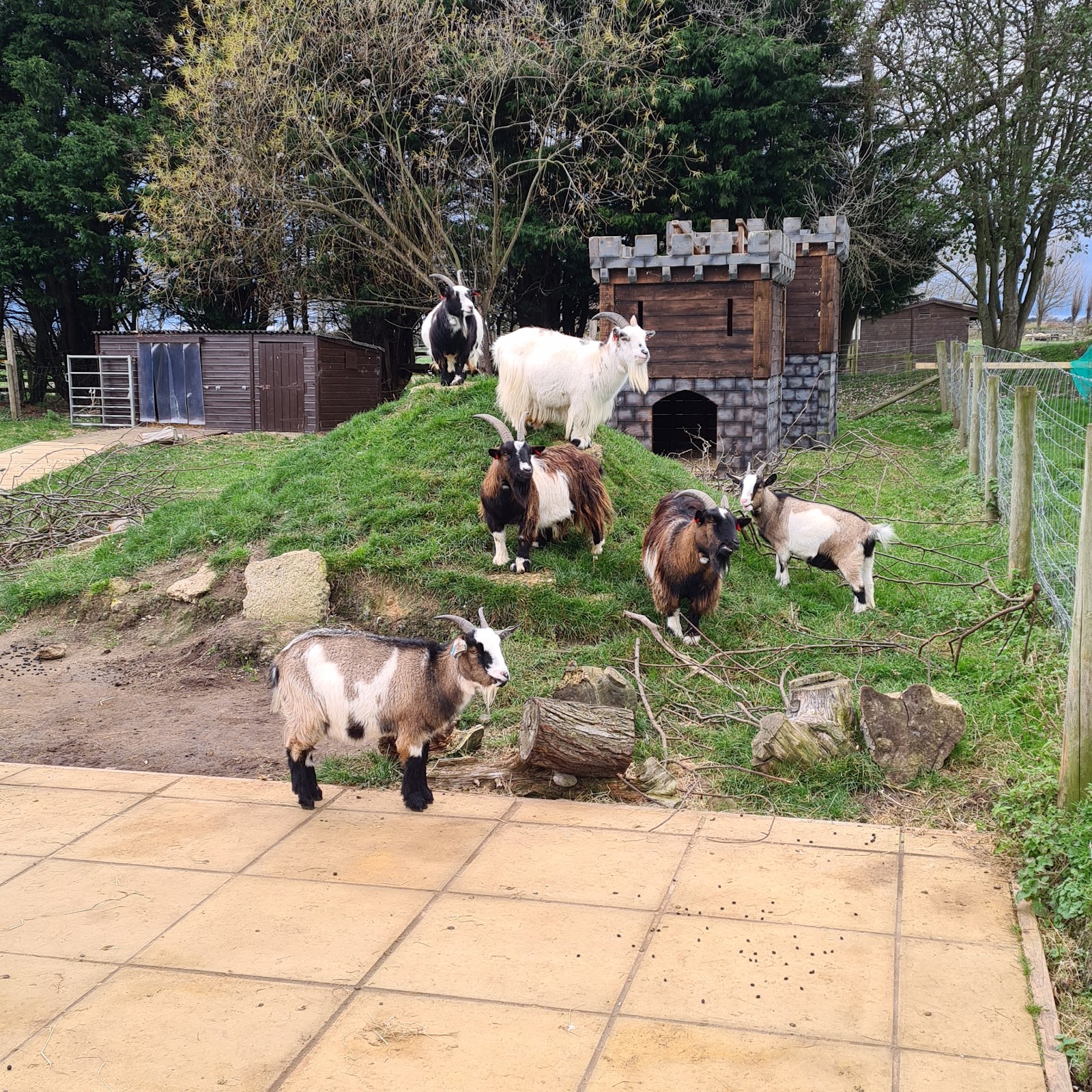 Ferring Country Centre