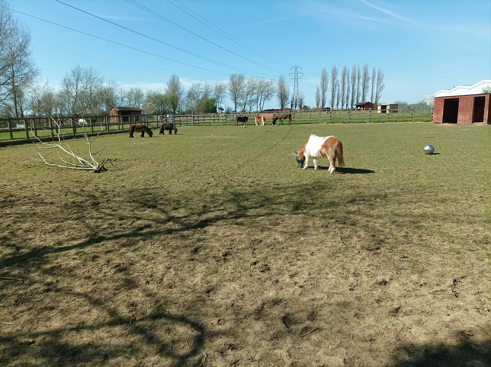 Ferring Country Centre
