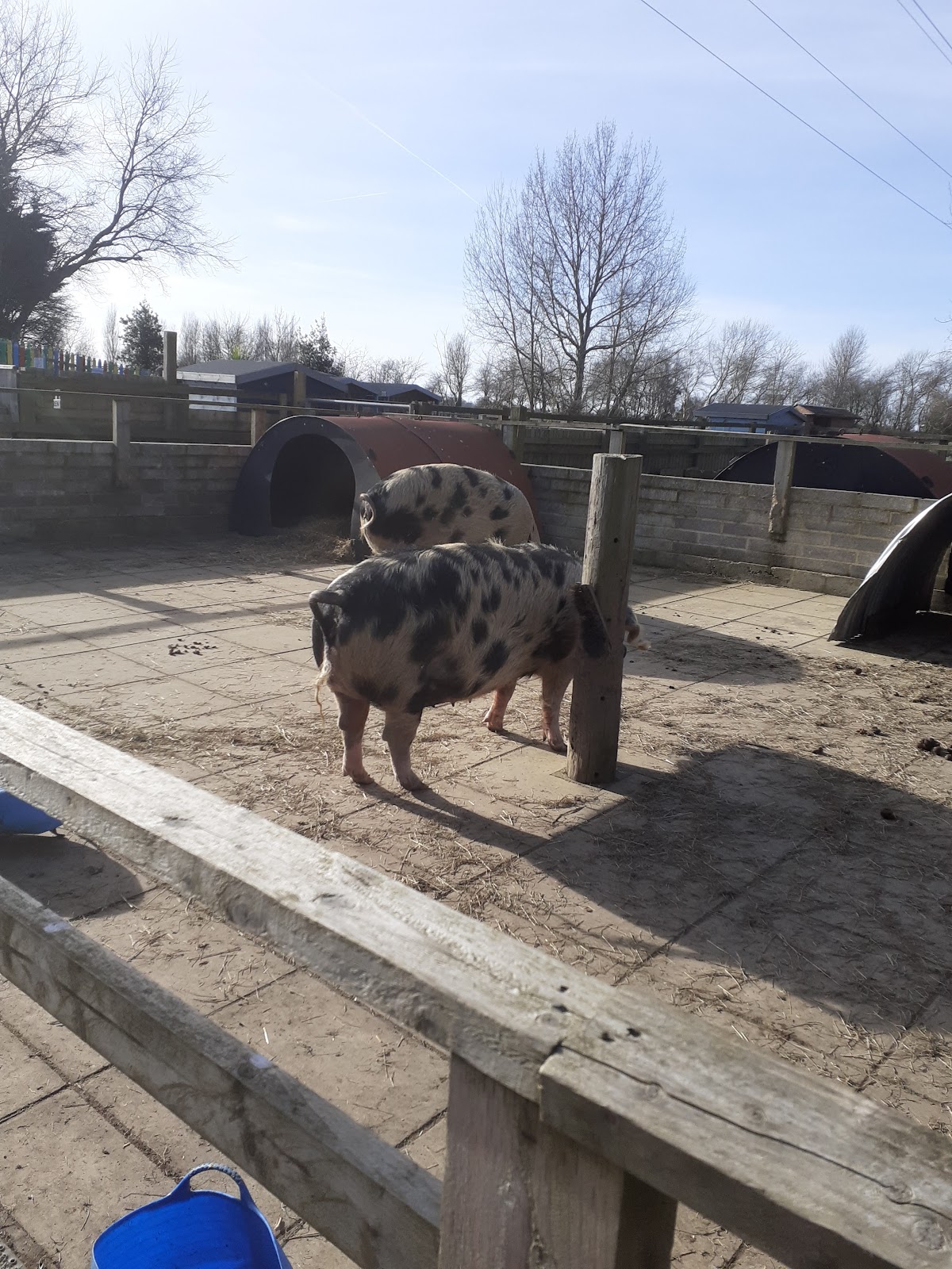 Ferring Country Centre