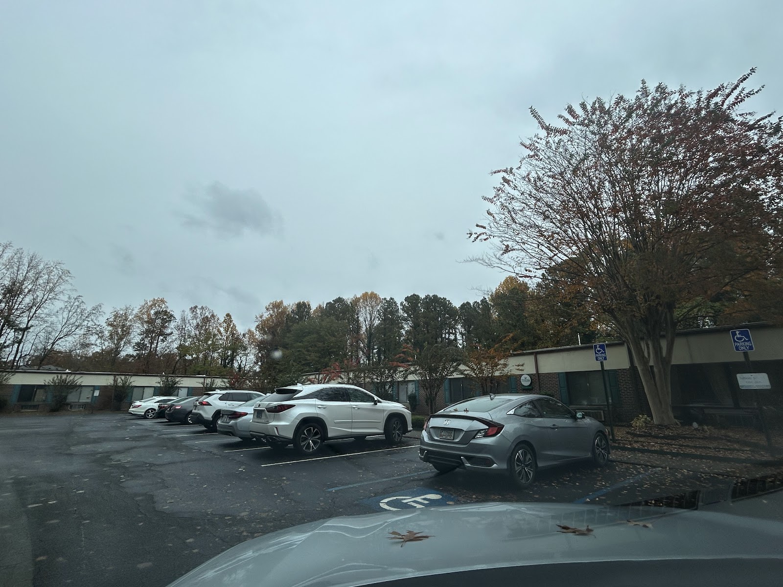 Chestnut Ridge Nursing and Rehabilitation