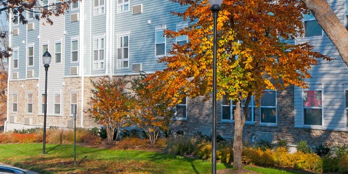 Rainier Manor Apartments Senior Living