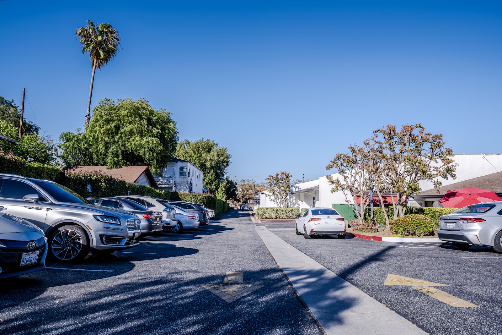 Alhambra Healthcare & Wellness Centre, LP