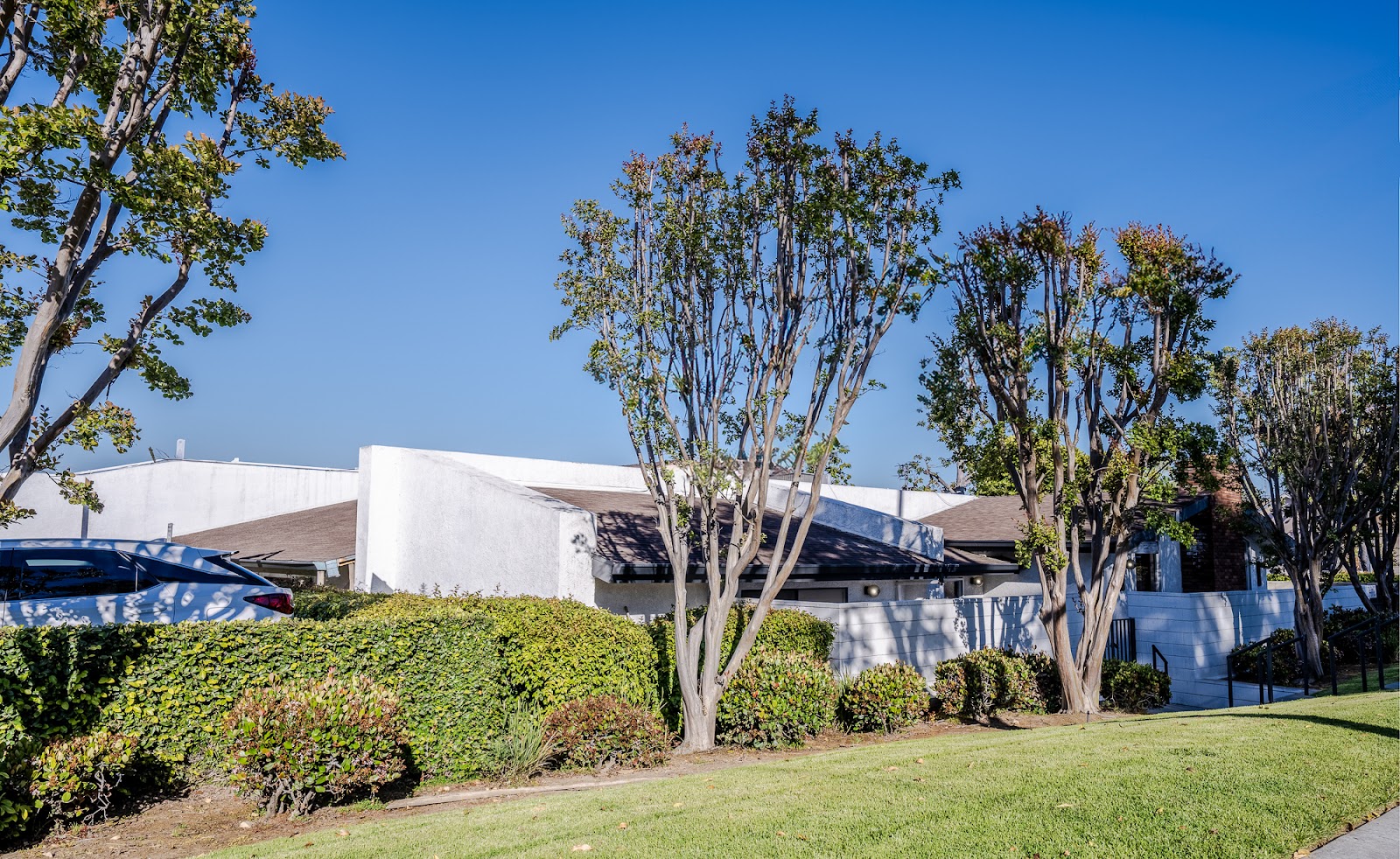 Alhambra Healthcare & Wellness Centre, LP