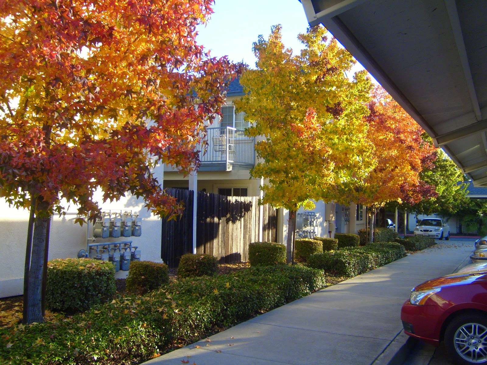 Rose Garden Senior Apartments