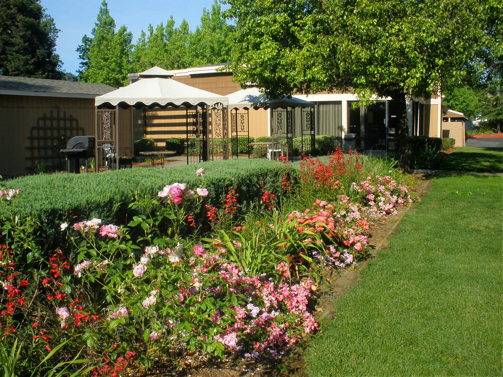 Rose Garden Senior Apartments