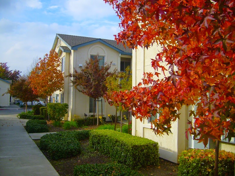 Rose Garden Senior Apartments