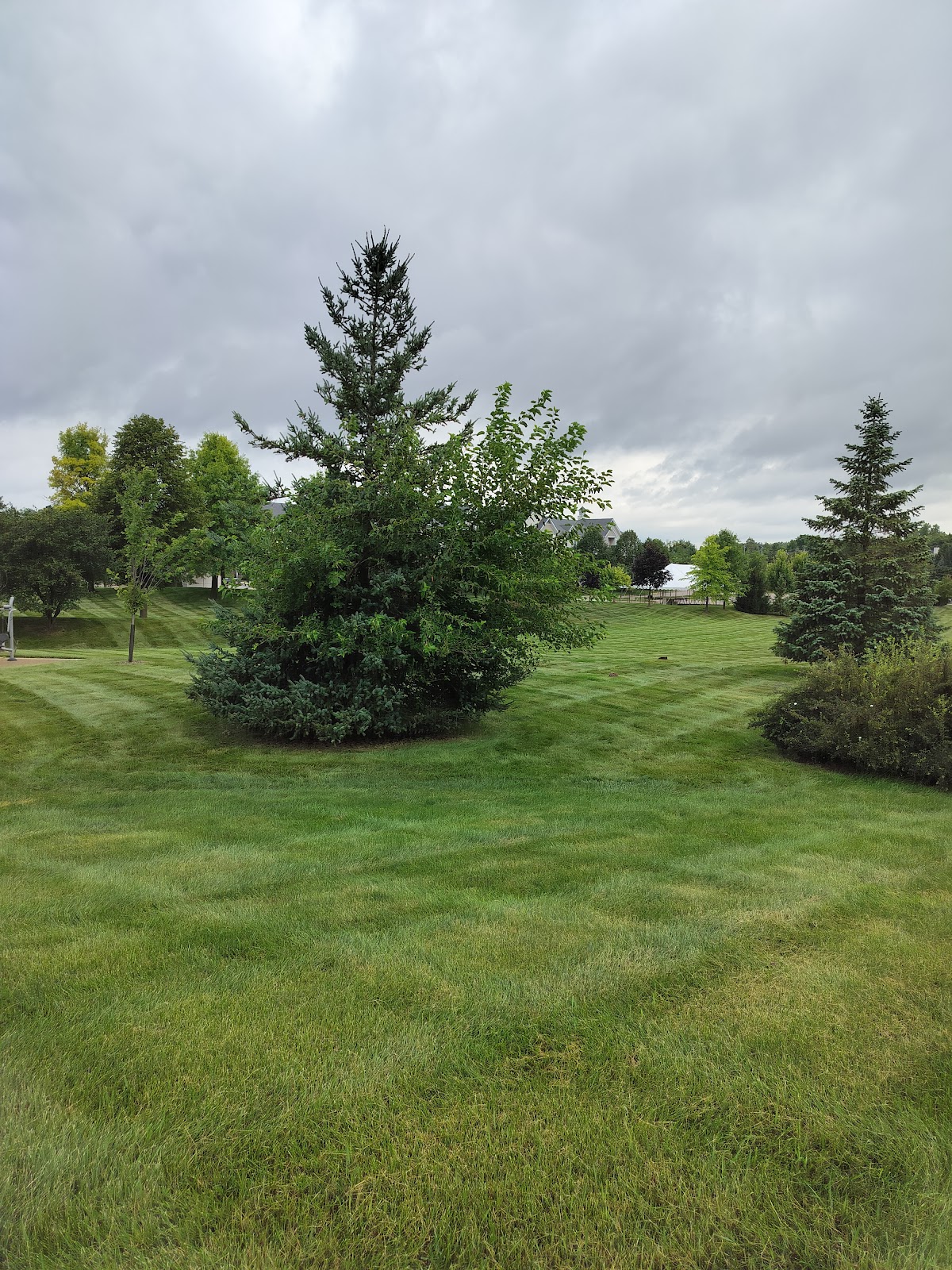 Meadowbrook Commons