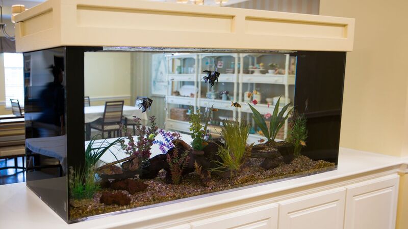 Pomeroy Senior Living of Northville - Assisted Living & Memory Care