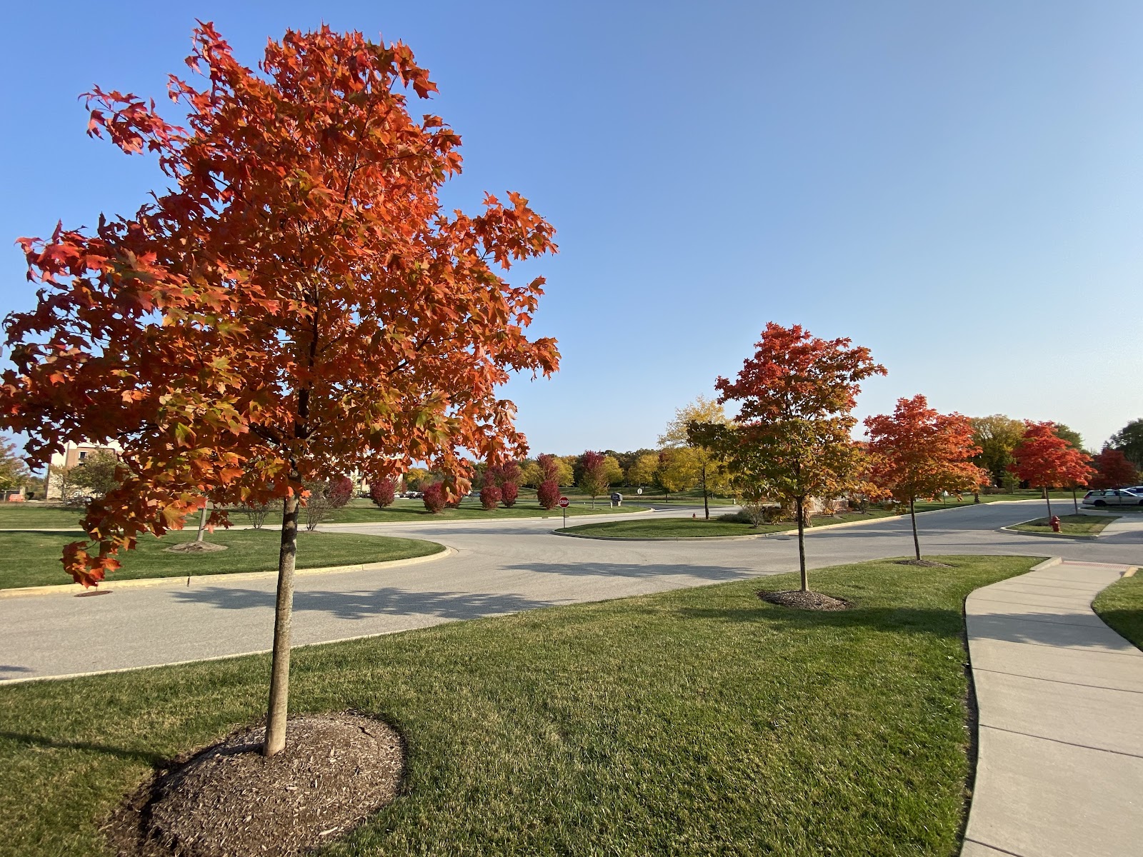 Deer Park Village Senior Living