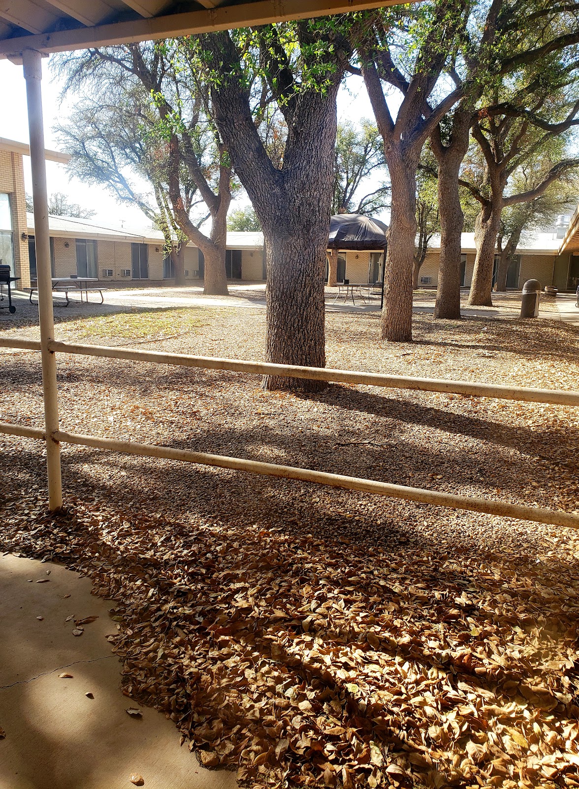 Focused Care at Hogan Park